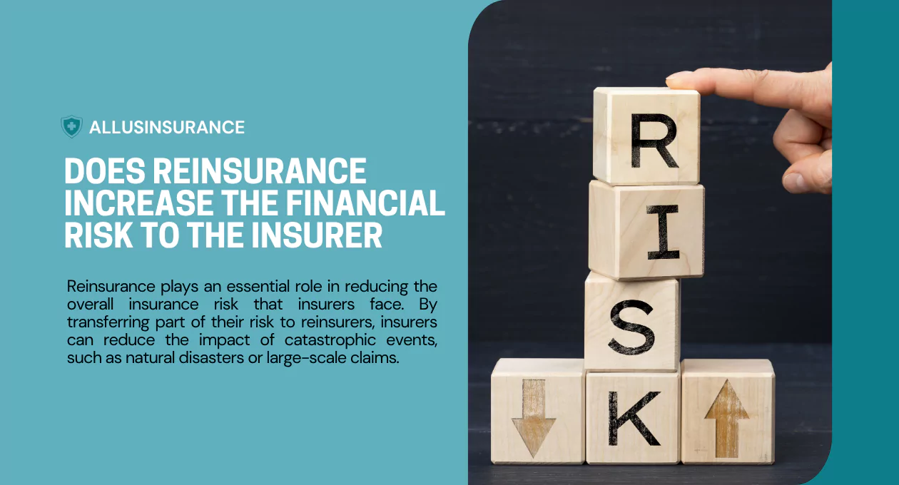Does Reinsurance Increase the Financial Risk to the Insurer? Exploring the Impact on Insurance Companies