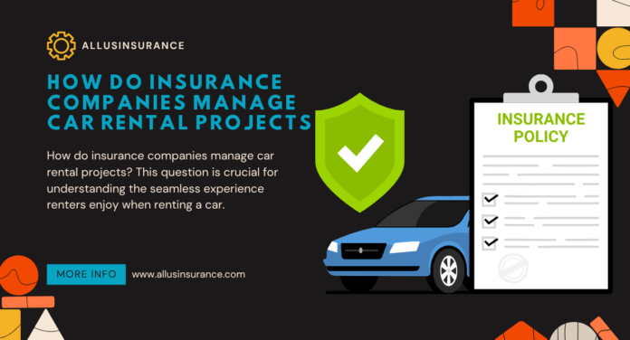 How Do Insurance Companies Manage Car Rental Projects? Key Strategies and Insights